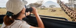 Todo lo que Necesitas Saber sobre los Safaris en África