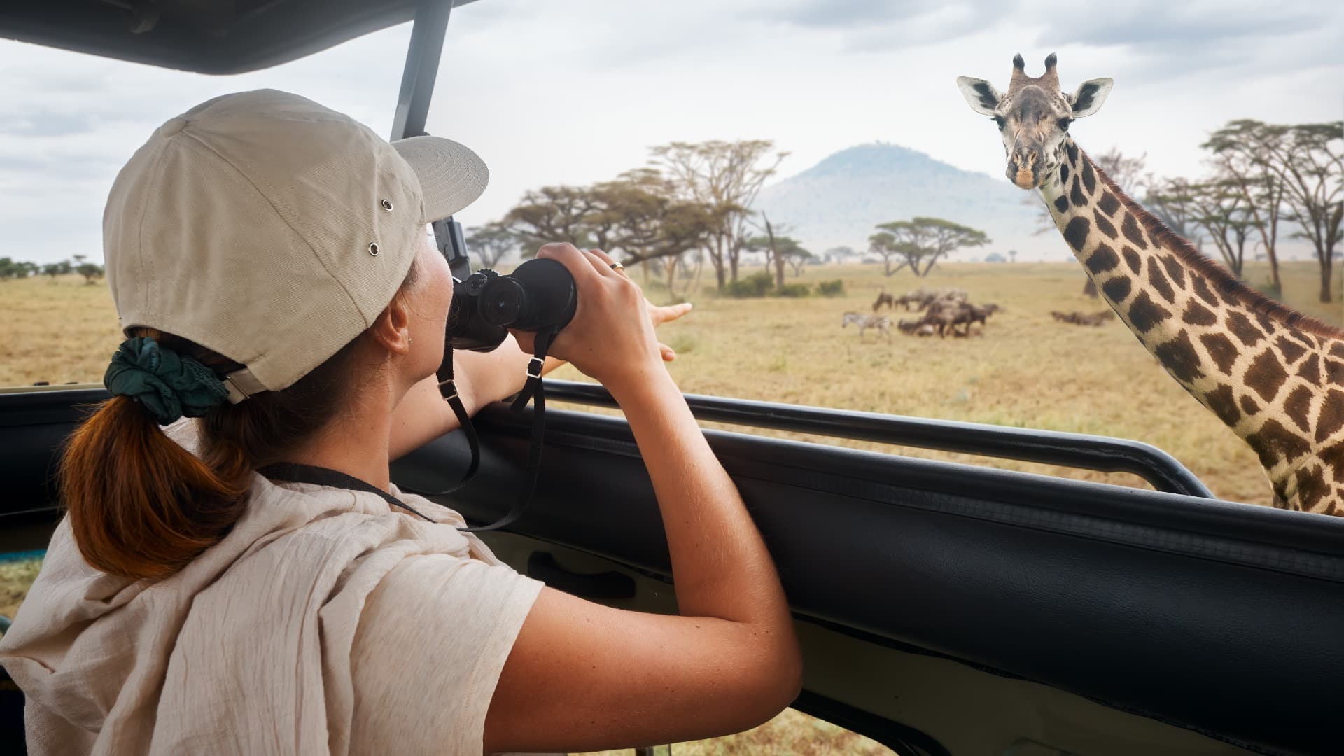 Todo lo que Necesitas Saber sobre los Safaris en África